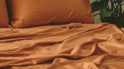 Nest Bedding Organic Cotton Duvet Cover Set